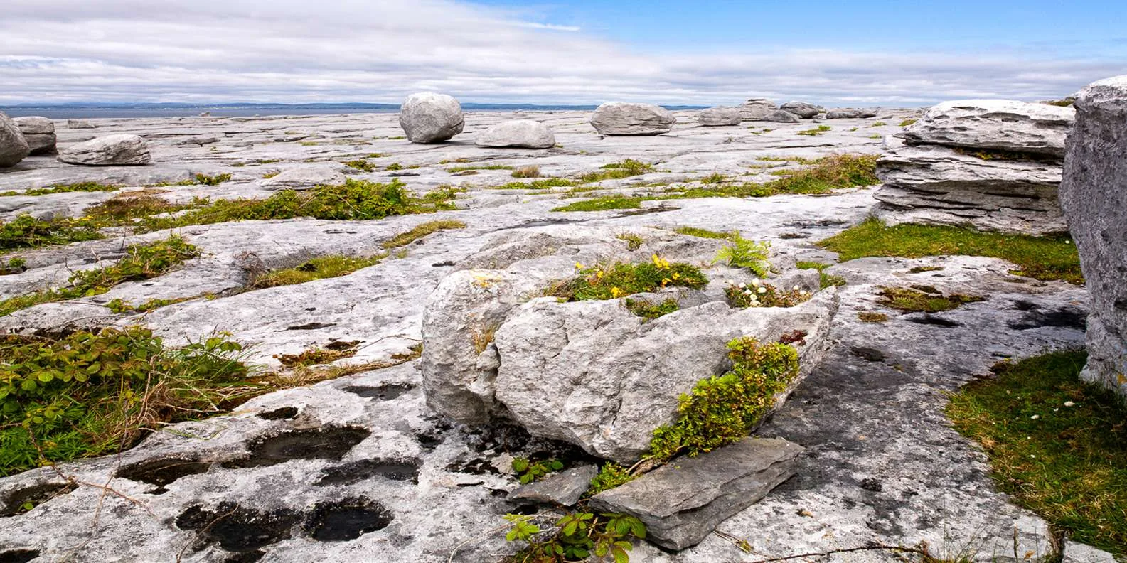 Burren coastal drive along the Wild Atlantic Way on the best Cliffs of Moher tour